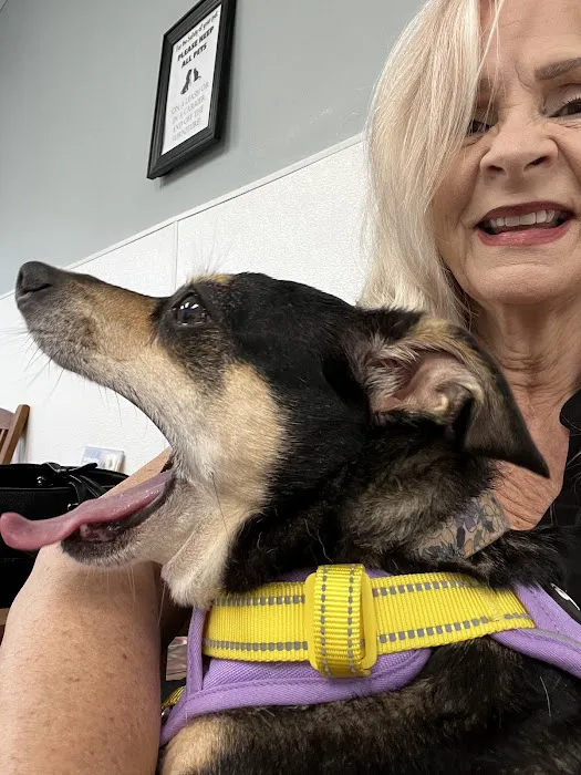 Texas City Animal Hospital Picture 7