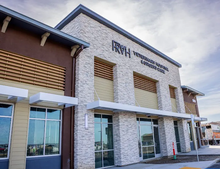 Folsom Ranch Veterinary Hospital and Urgent Care Picture 2