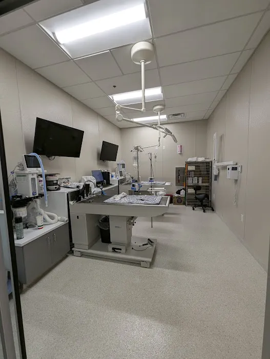 Folsom Ranch Veterinary Hospital and Urgent Care Picture 6