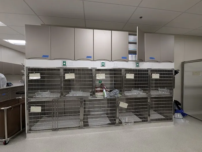 Folsom Ranch Veterinary Hospital and Urgent Care Picture 8