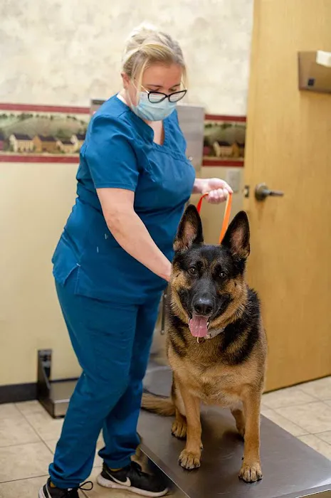 MarketPlace Veterinary Hospital Picture 7