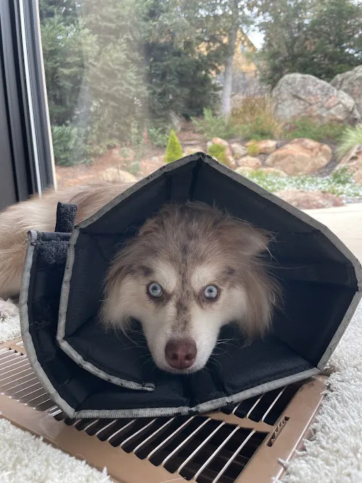 MarketPlace Veterinary Hospital Picture 10