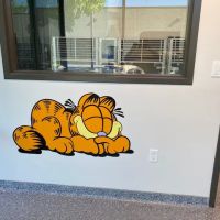 Insight Veterinary Wellness Center ico
