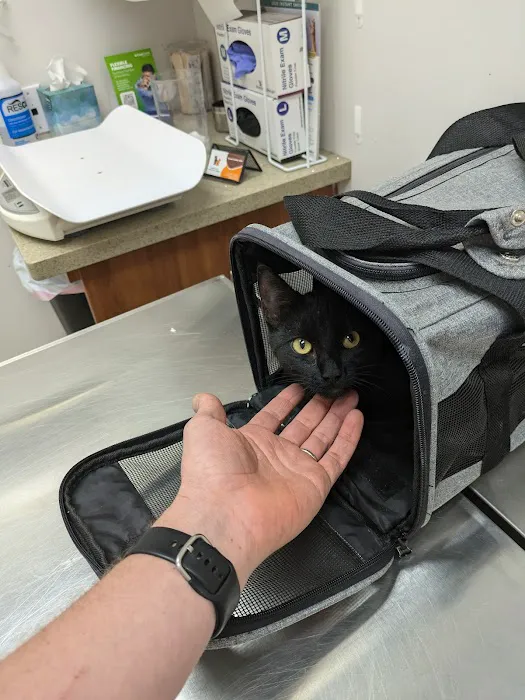 Cameron Park Veterinary Hospital Picture 6