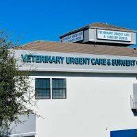 Veterinary Urgent Care & Surgery Center ico