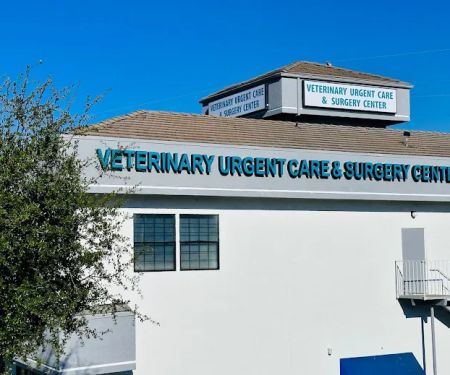 Veterinary Urgent Care & Surgery Center