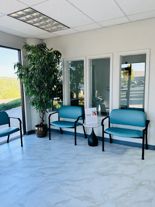 Veterinary Urgent Care & Surgery Center Picture 2