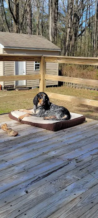Moyock Animal Hospital Inc Picture 2