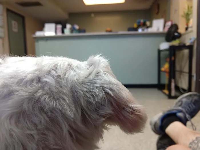 East Valley Veterinary Clinic Picture 3