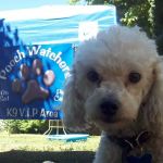 Holiday Humane Society Clinic