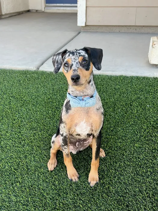 Van Nuys Veterinary Clinic Picture 2