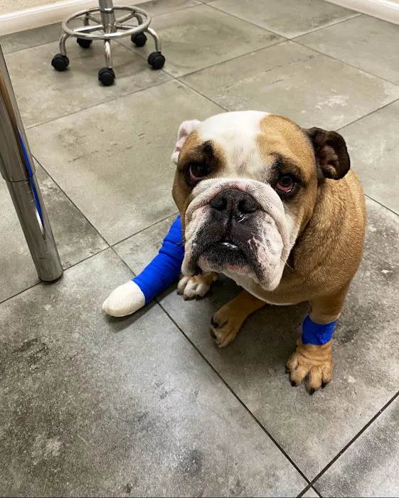 Van Nuys Veterinary Clinic Picture 9