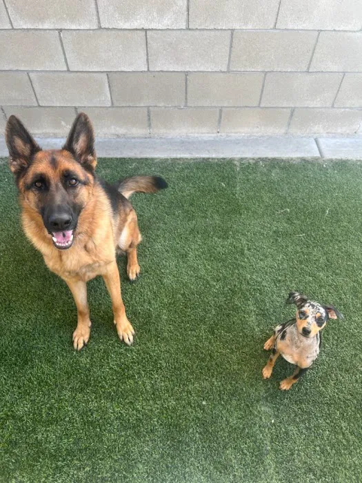 Van Nuys Veterinary Clinic Picture 7