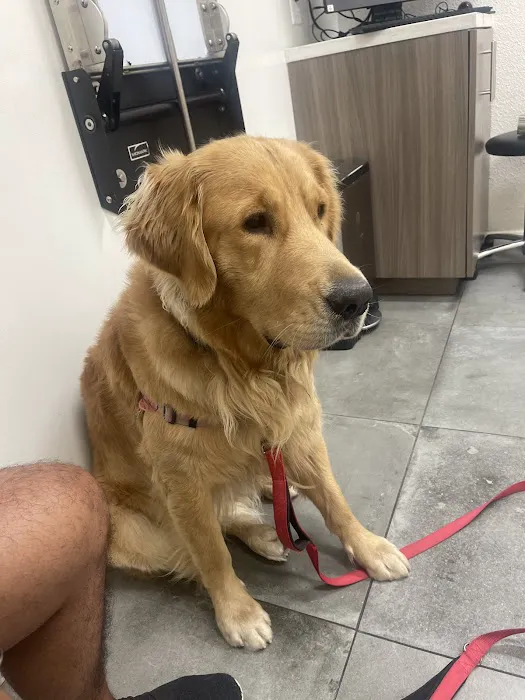 Van Nuys Veterinary Clinic Picture 10