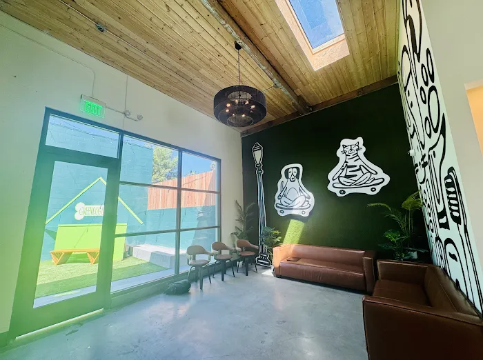 Green Dog Dental and Veterinary Center Picture 1