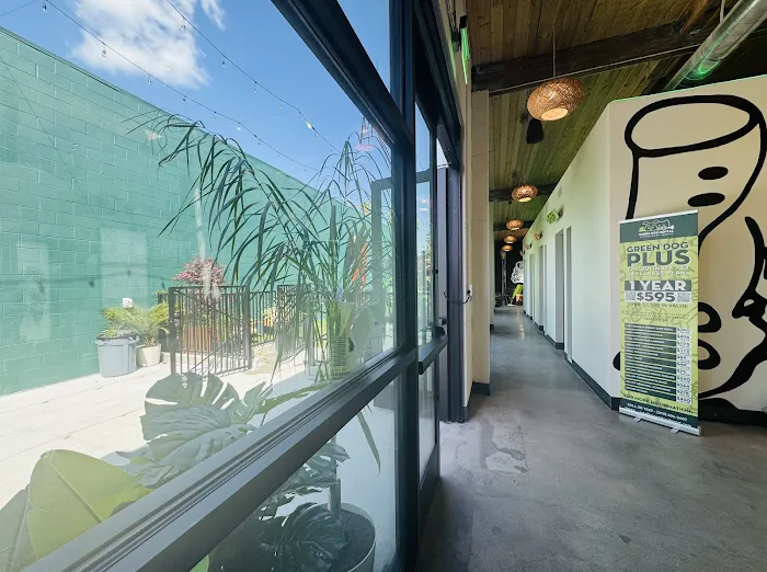 Green Dog Dental and Veterinary Center Picture 5