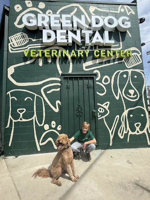 Green Dog Dental and Veterinary Center Picture 4