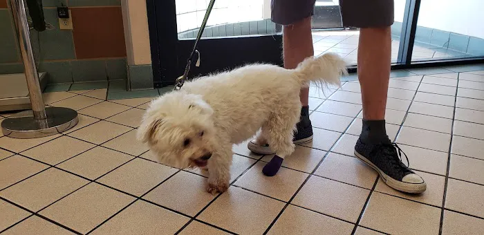 VCA Animal Medical Center Picture 3