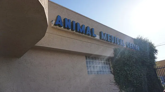 VCA Animal Medical Center Picture 5