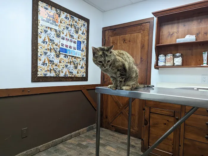 The Pet Doctors of Sherman Oaks Picture 4