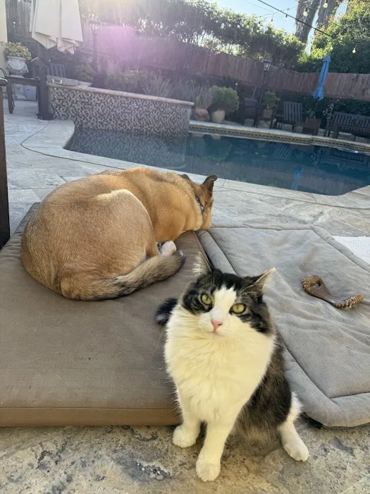 The Pet Doctors of Sherman Oaks Picture 5