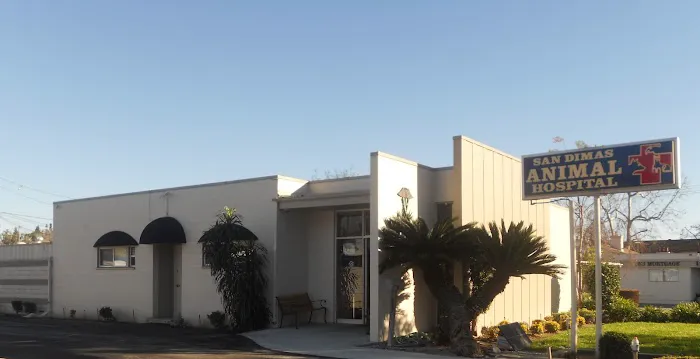 San Dimas Animal Hospital Picture 3