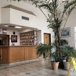 Arrow Animal Hospital
