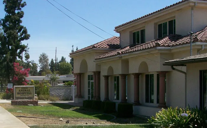 Arrow Animal Hospital Picture 4