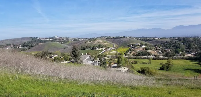 Chino Valley Equine Hospital Picture 3