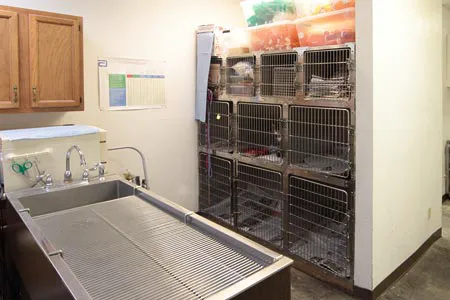 Payne Ranch Vet Clinic Picture 7