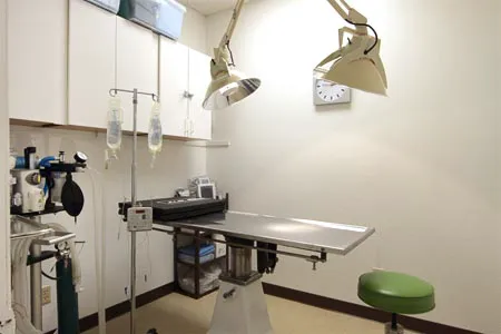 Payne Ranch Vet Clinic Picture 5