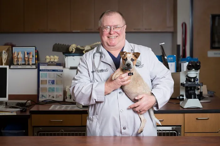 WesternU Pet Health Center Picture 4