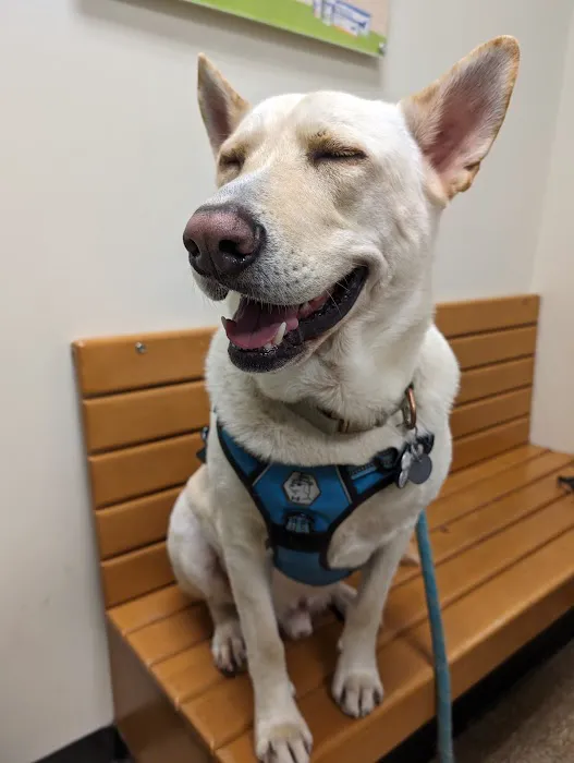 WesternU Pet Health Center Picture 7