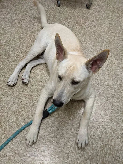 WesternU Pet Health Center Picture 8