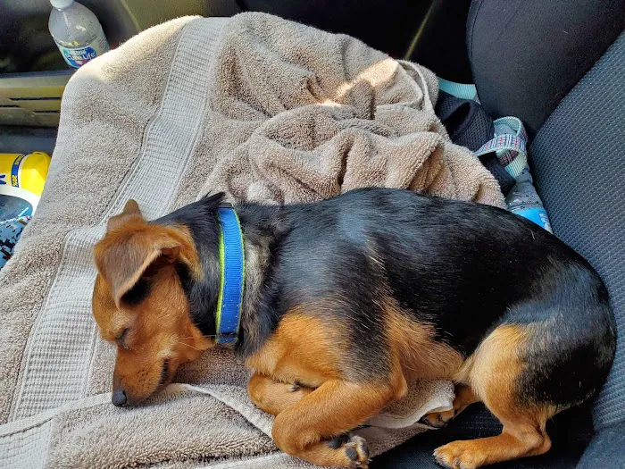 Pomona Valley Veterinary Hospital Picture 4