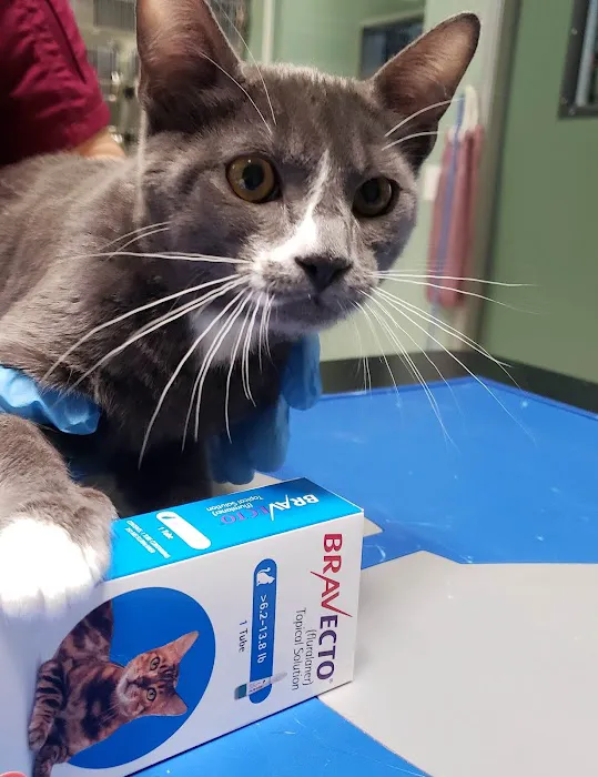 Pomona Valley Veterinary Hospital Picture 7