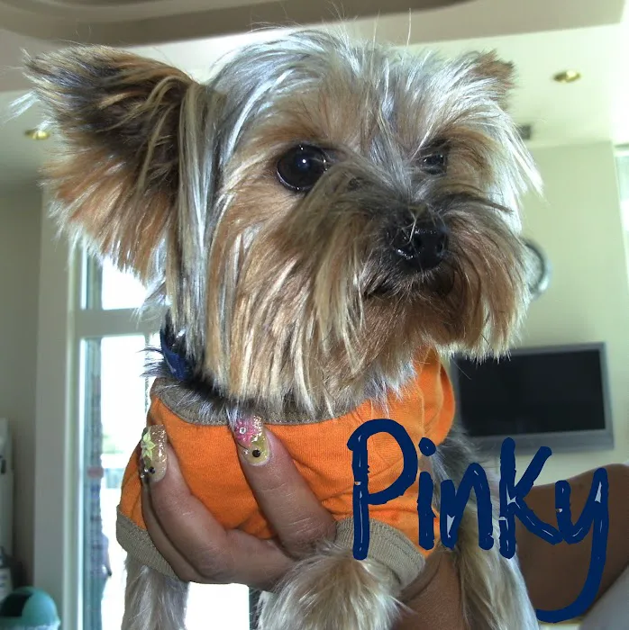 Pomona Valley Veterinary Hospital Picture 8