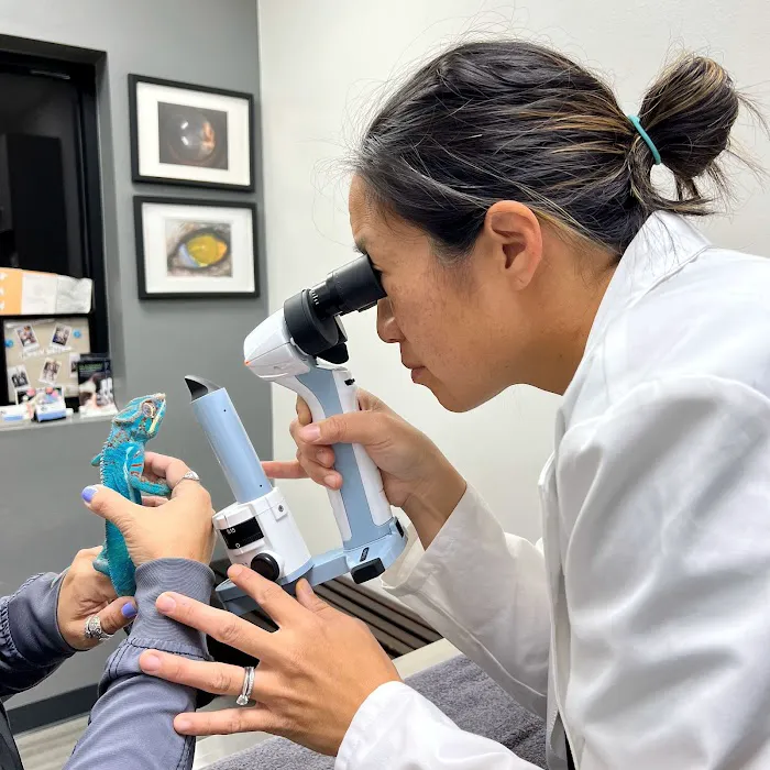 Veterinary Eye Clinic Picture 3