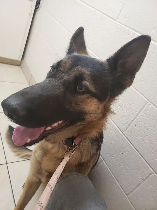 Pomona Animal Hospital Picture 1
