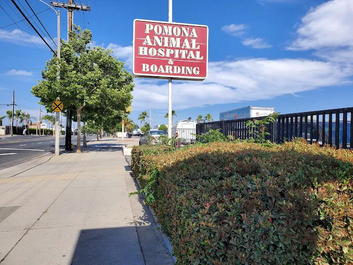 Pomona Animal Hospital Picture 4