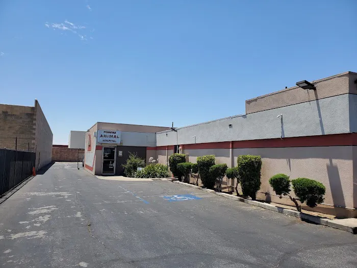 Pomona Animal Hospital Picture 5