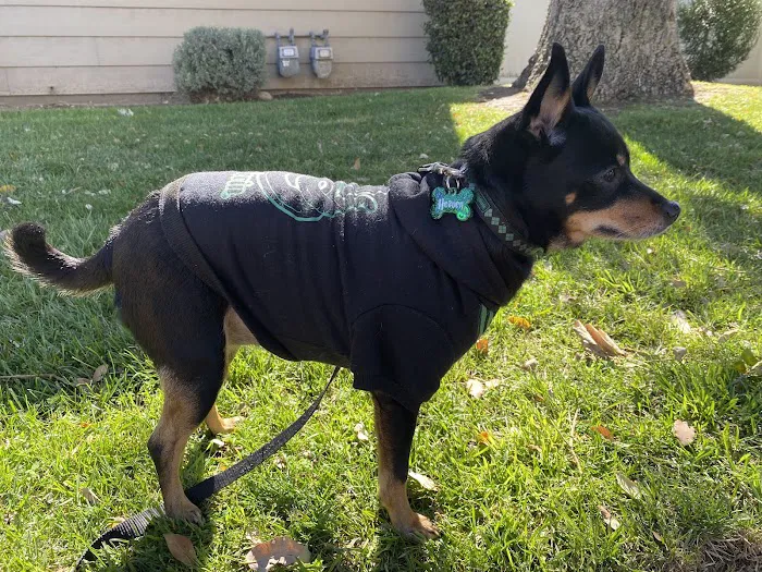 Pomona Animal Hospital Picture 6