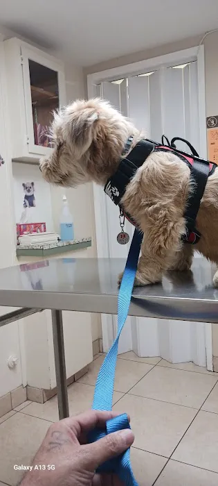 Pomona Animal Hospital Picture 9