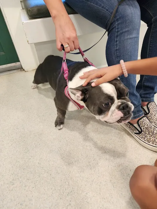 La Verne Animal Hospital Picture 4