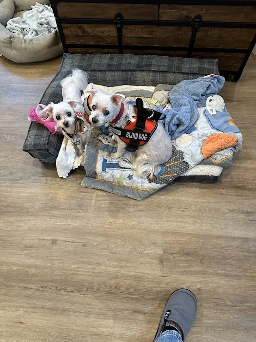 La Verne Animal Hospital Picture 6
