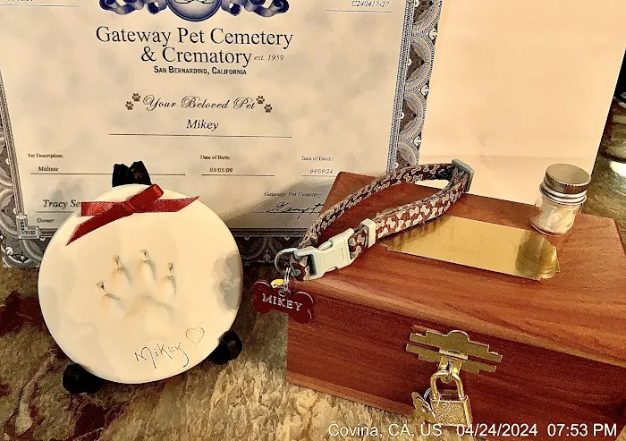 Paw In Hand Picture 9