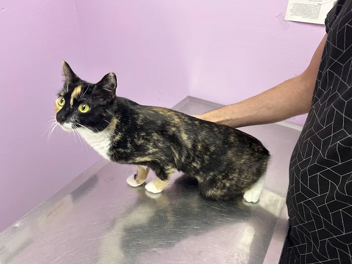 Chino Hills Parkway Pet Hospital Picture 2