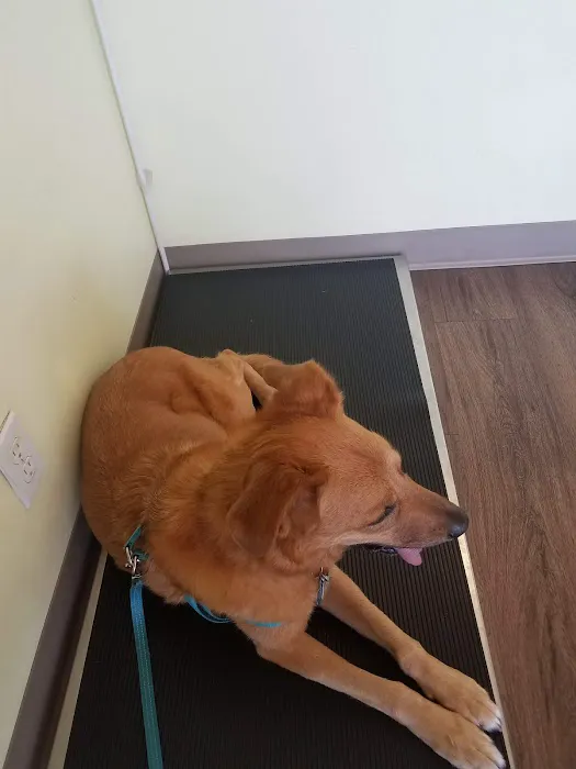 Chino Hills Parkway Pet Hospital Picture 6
