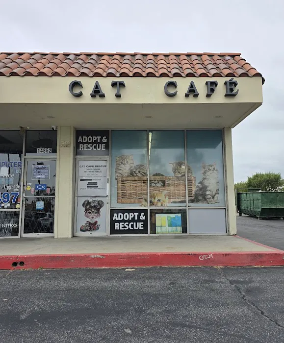 Cat Cafe Rescue Picture 8