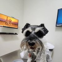 Pets 'N' Vets Animal Hospital ico